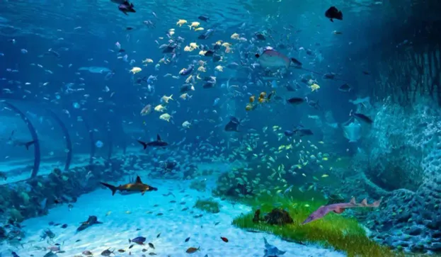 Abu Dhabi Aquarium