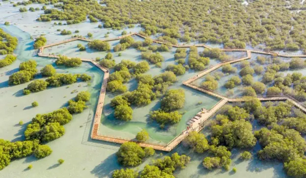 Jubail Mangrove Park at Al Jubail Island Abu Dhabi